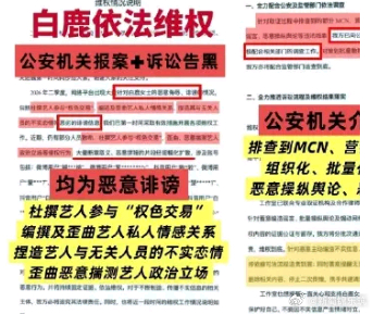 白鹿对黑粉的行为你怎么看 