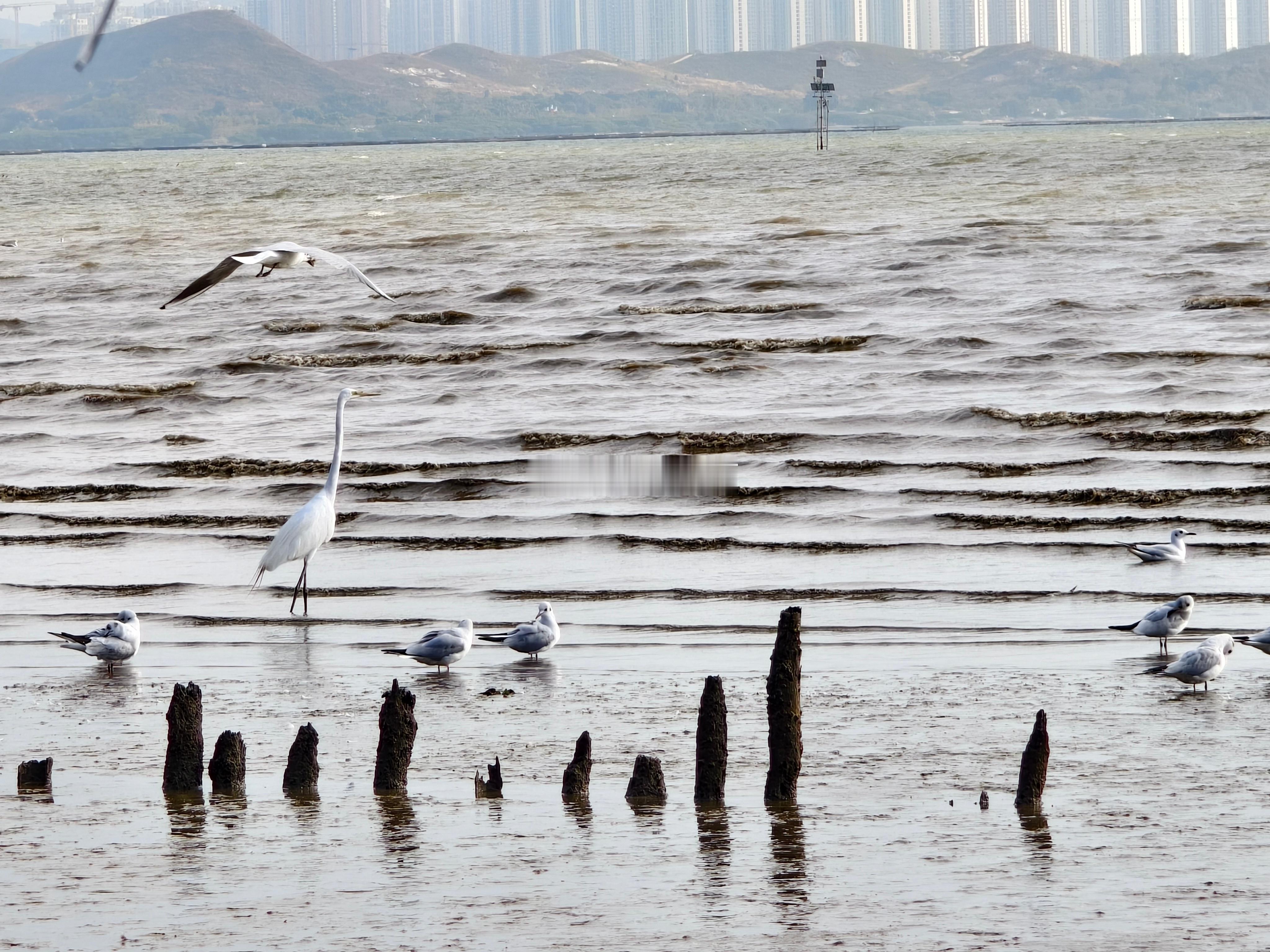 感受到光的温暖，人就会不自觉地追寻它，向着幸福奔跑，这是一种生活的本能。——蔡皋