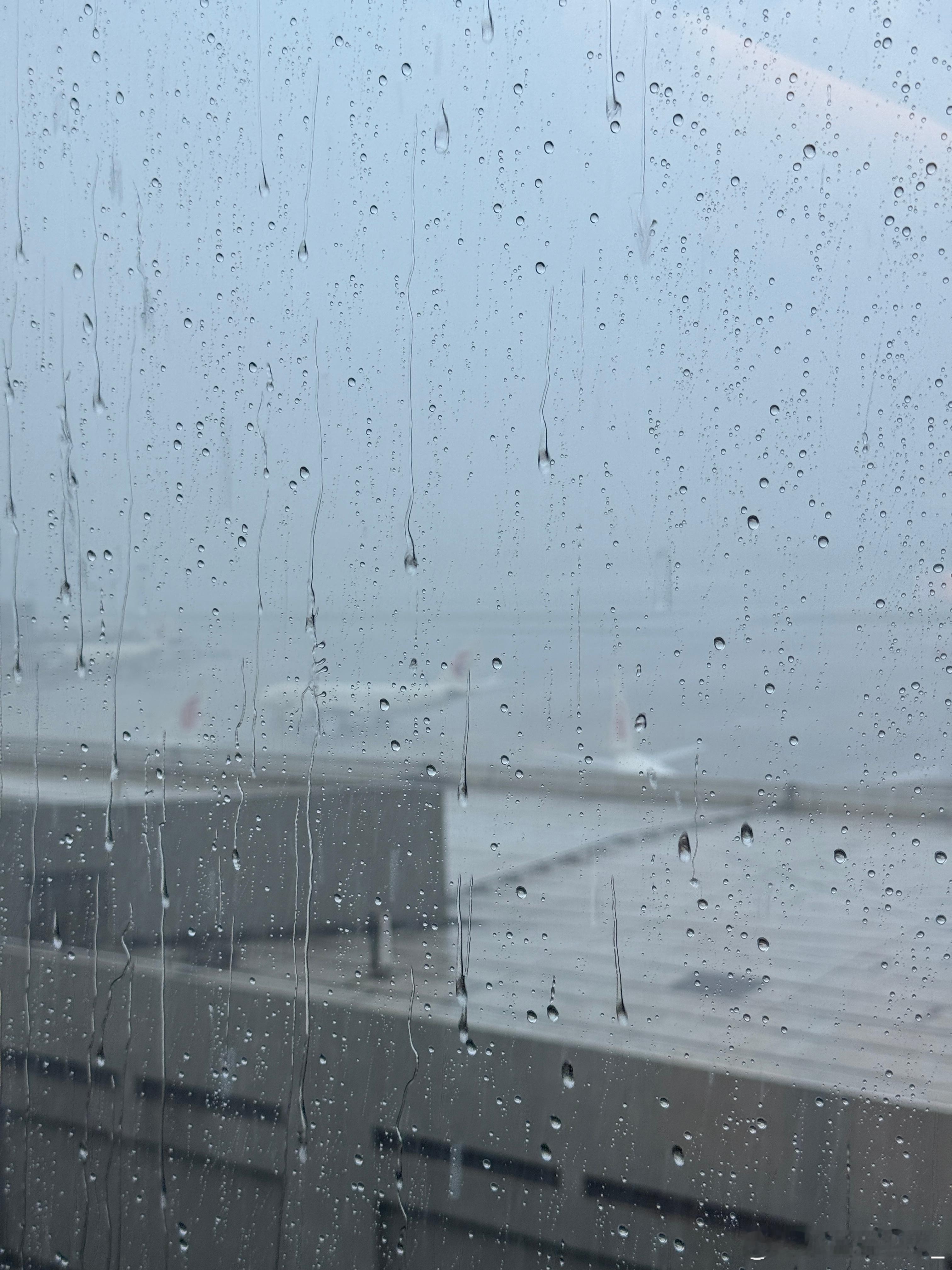 我赶上了，飞机都延误了。[允悲]上海暴雨 ​​​