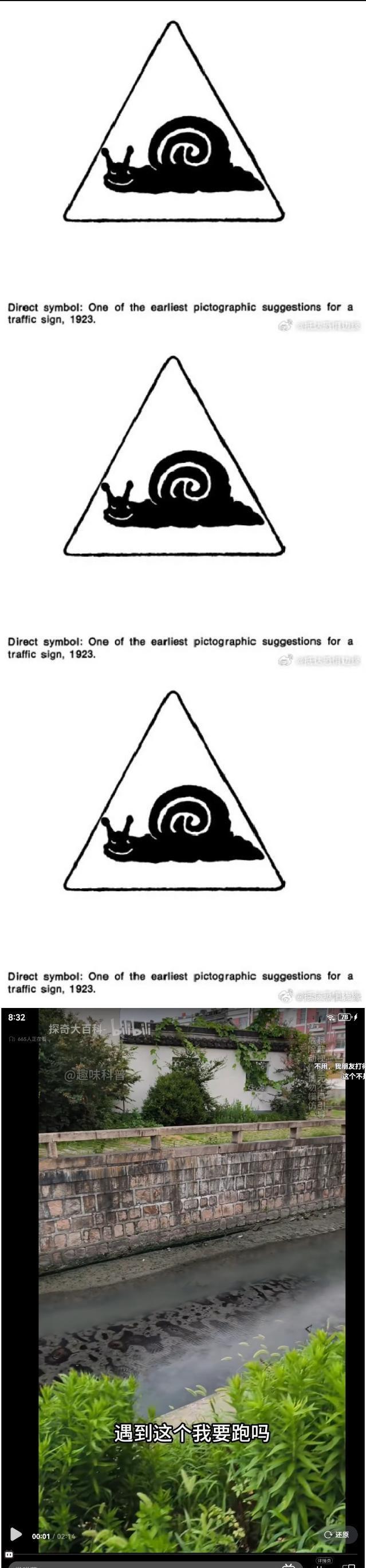 很像蟒蛇的油污 ​​​