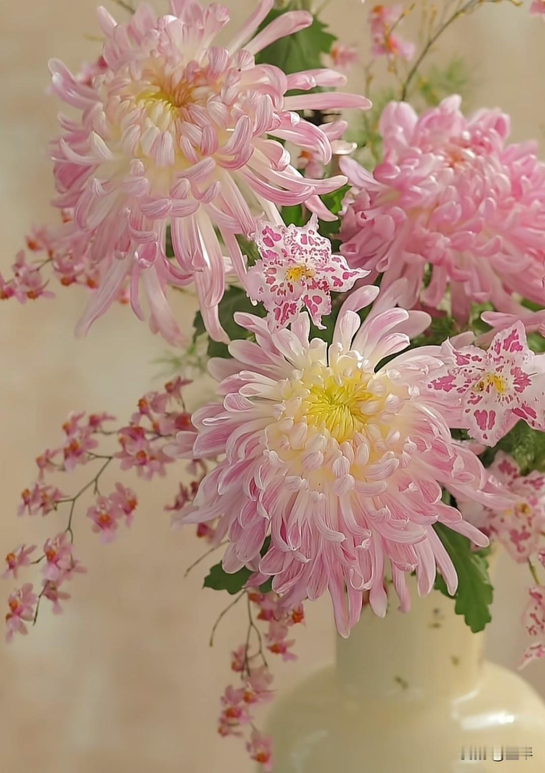 无法说出内心的感受，也不敢说愤懑，生命无常，经历什么，都是因果。不说是与非、对与