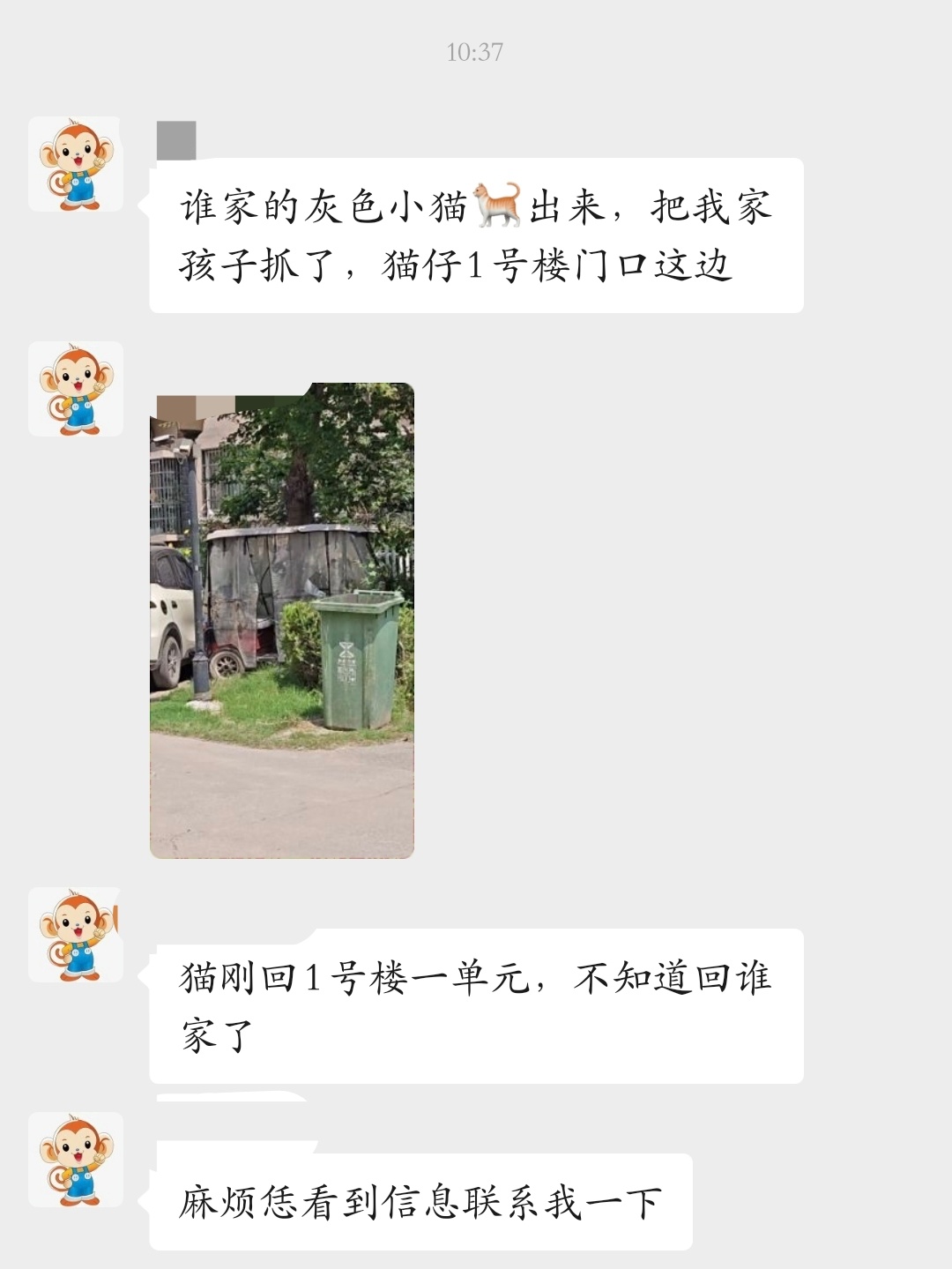 小区有个小朋友被一只小猫抓了，他妈妈问是谁家的小猫，一看就没有经验，你说谁家的小