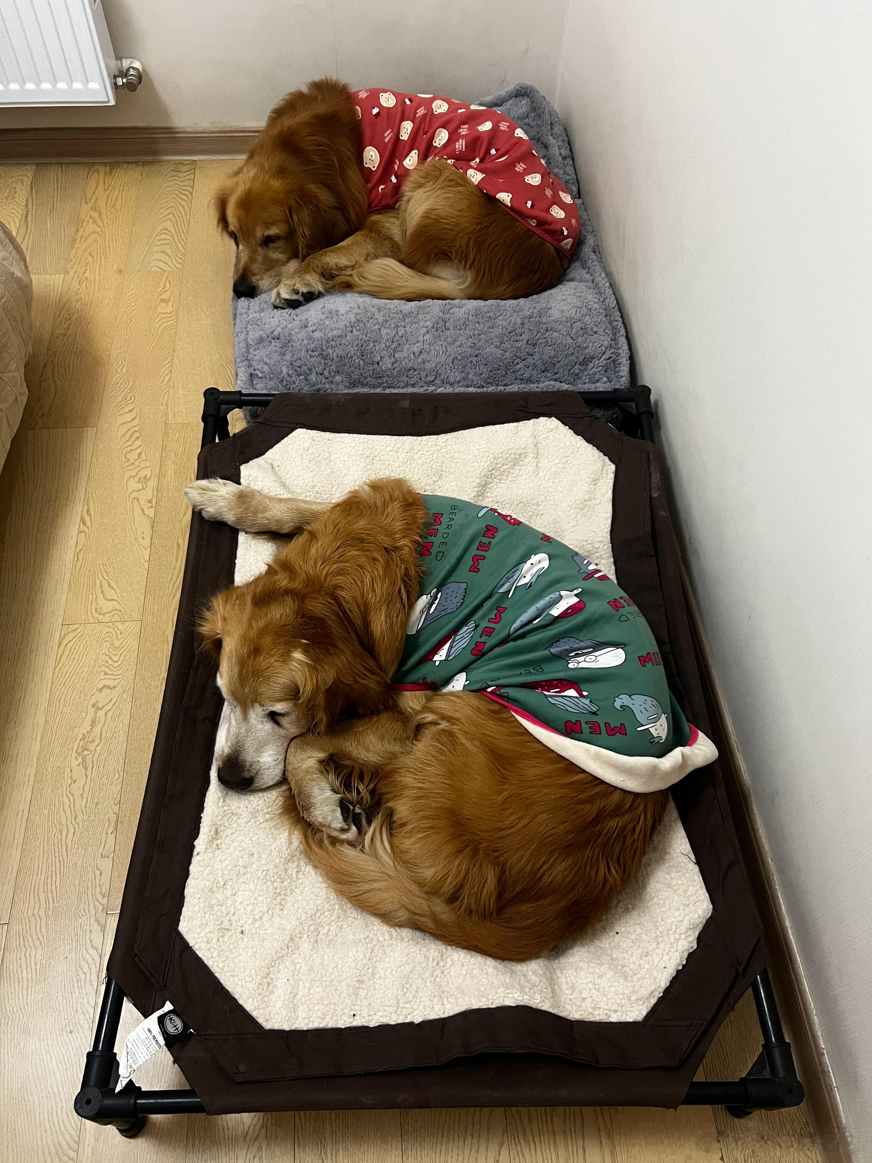 哈哈哈 睡了睡了 太可爱了 几乎一模一样[亲亲] ​​​