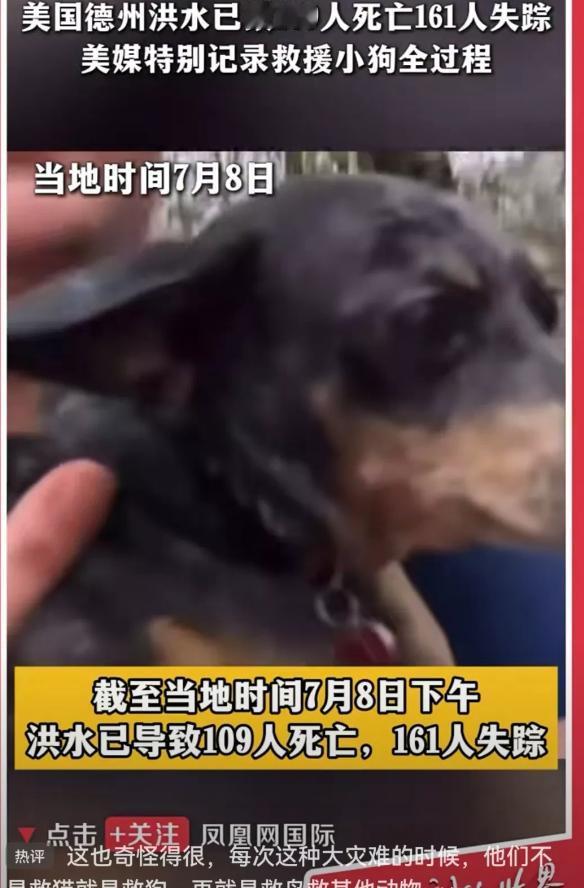 果然网友没有猜错，得州洪水救出一条狗。中国人在作秀方面真的差太远了，人家美国消防