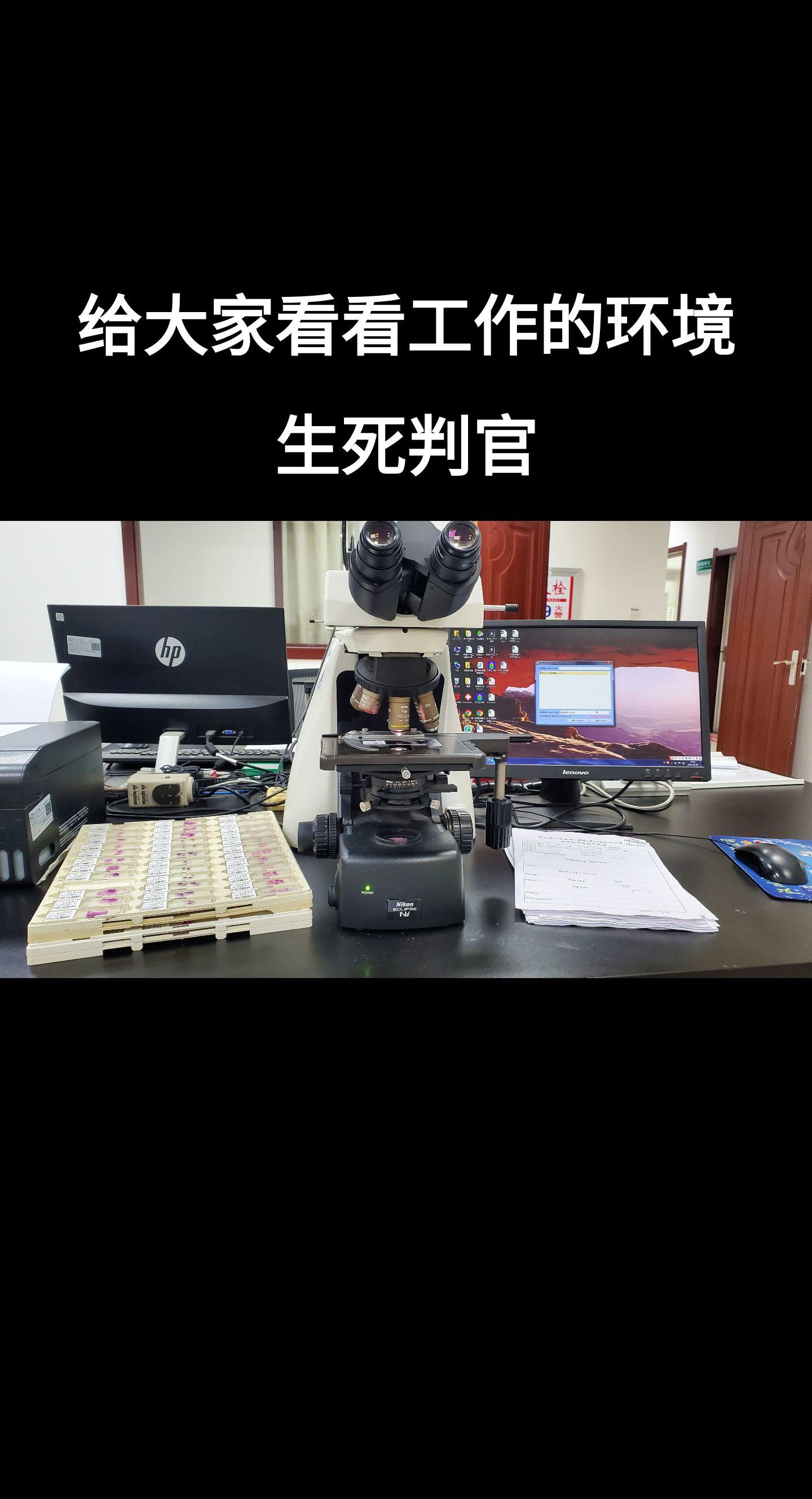 显微镜下的世界