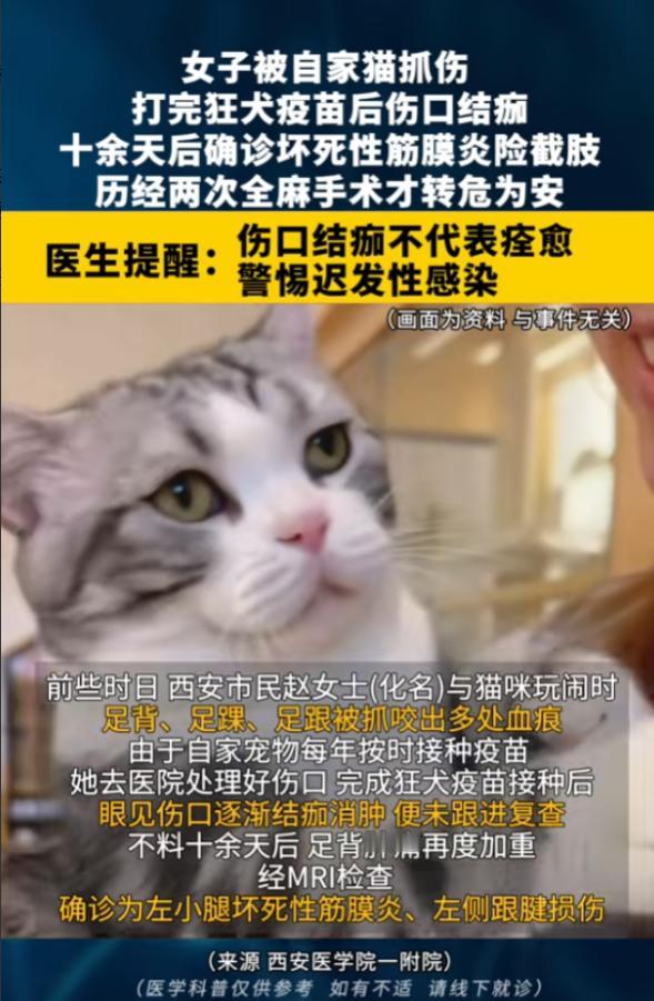“悲剧还是发生了！”8月12日报道，陕西西安，一女子被自家猫抓伤，她打完狂犬疫苗