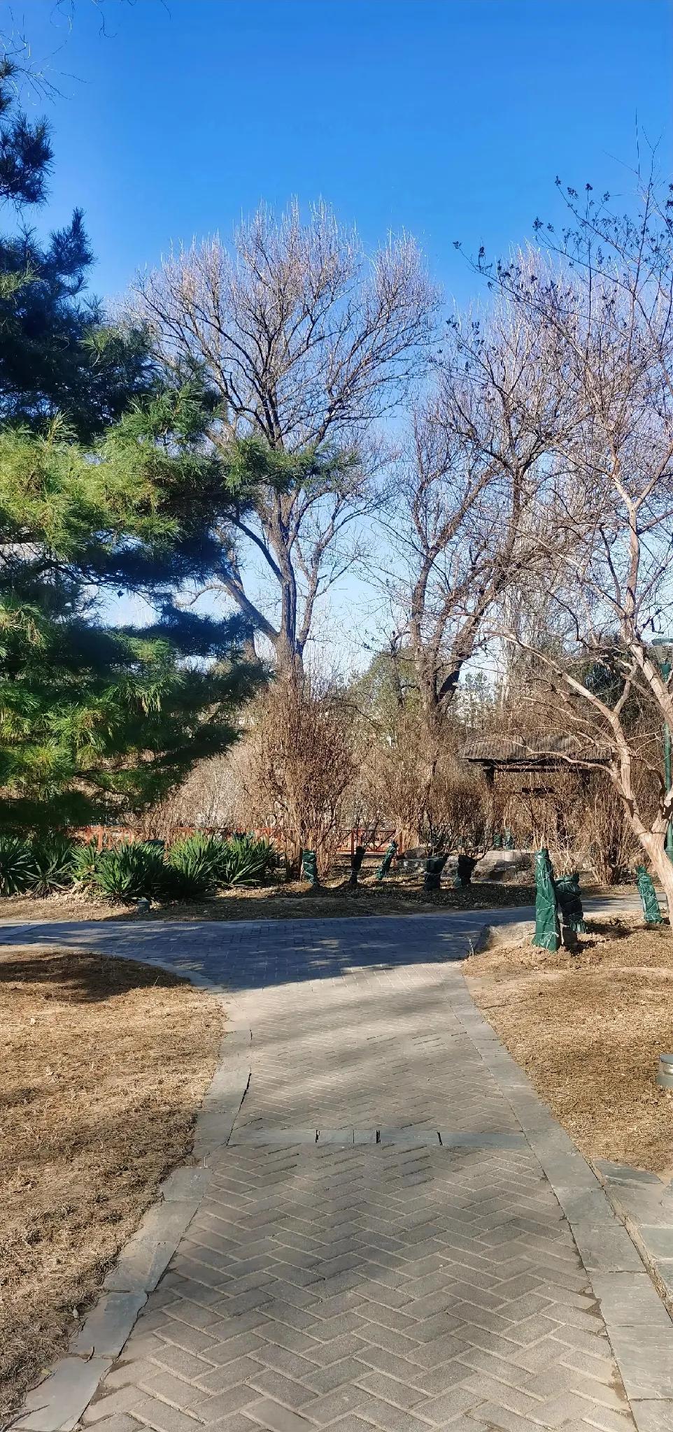 分享一张你最近随手拍的照片吧