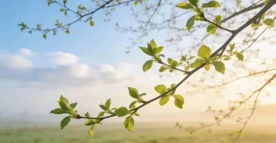 我在医院照顾60岁的大嫂半个月，只为回报她20年前的一饭之恩。


老公家兄妹4