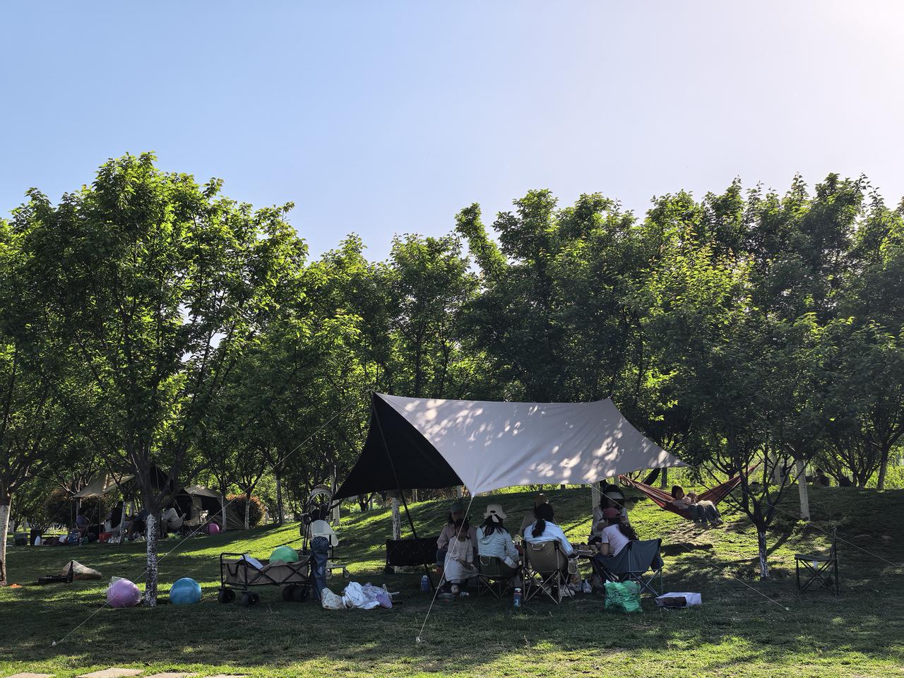 当阳光把帐篷织成茧，我们在树林里偷上了一个的春天。
树影是天然的蕾丝，
风把笑容