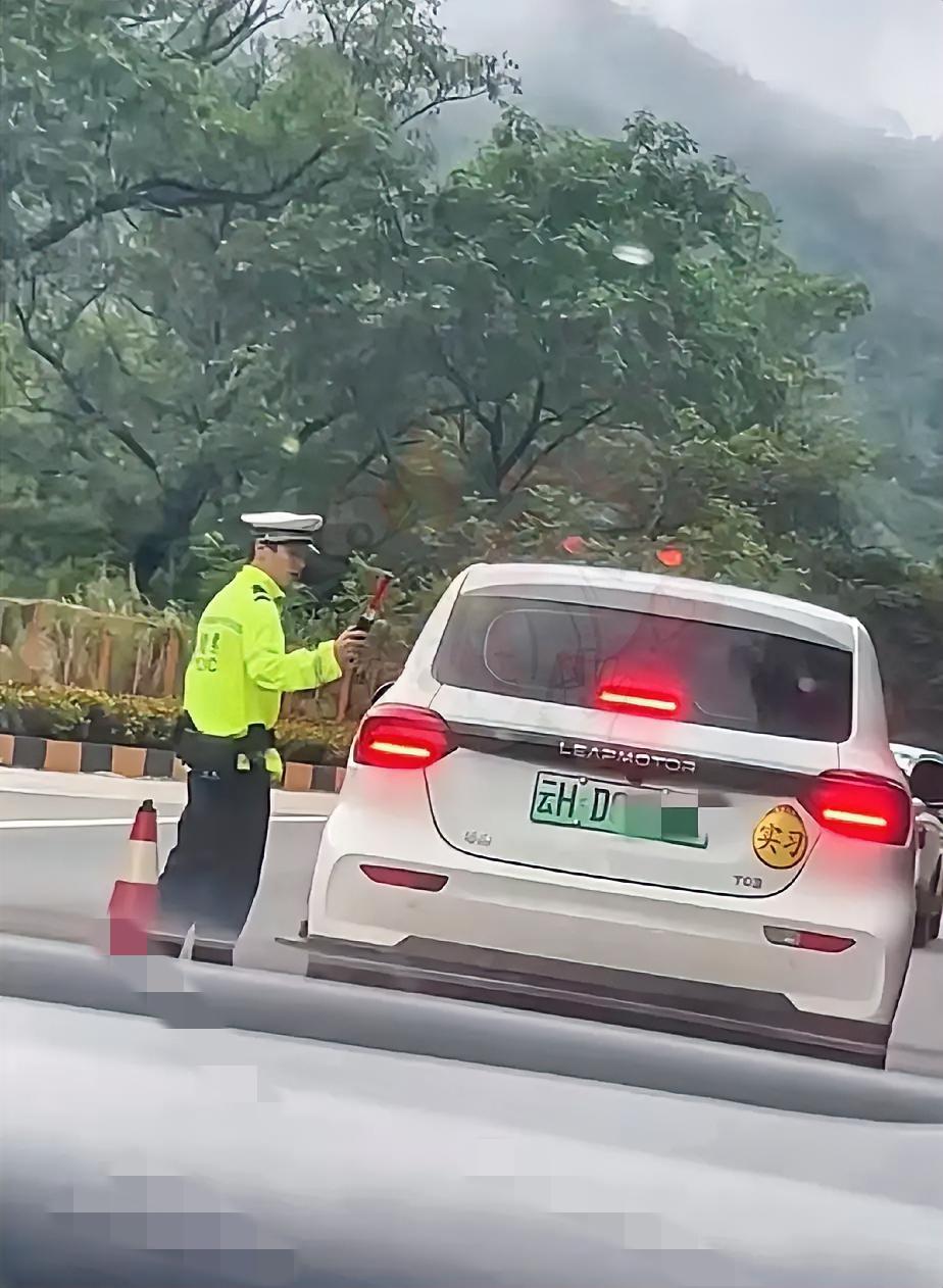 笑不活了！云南人喝酒的“名场面”彻底火出圈，早上8点查酒驾直接看呆外省人，满屏“