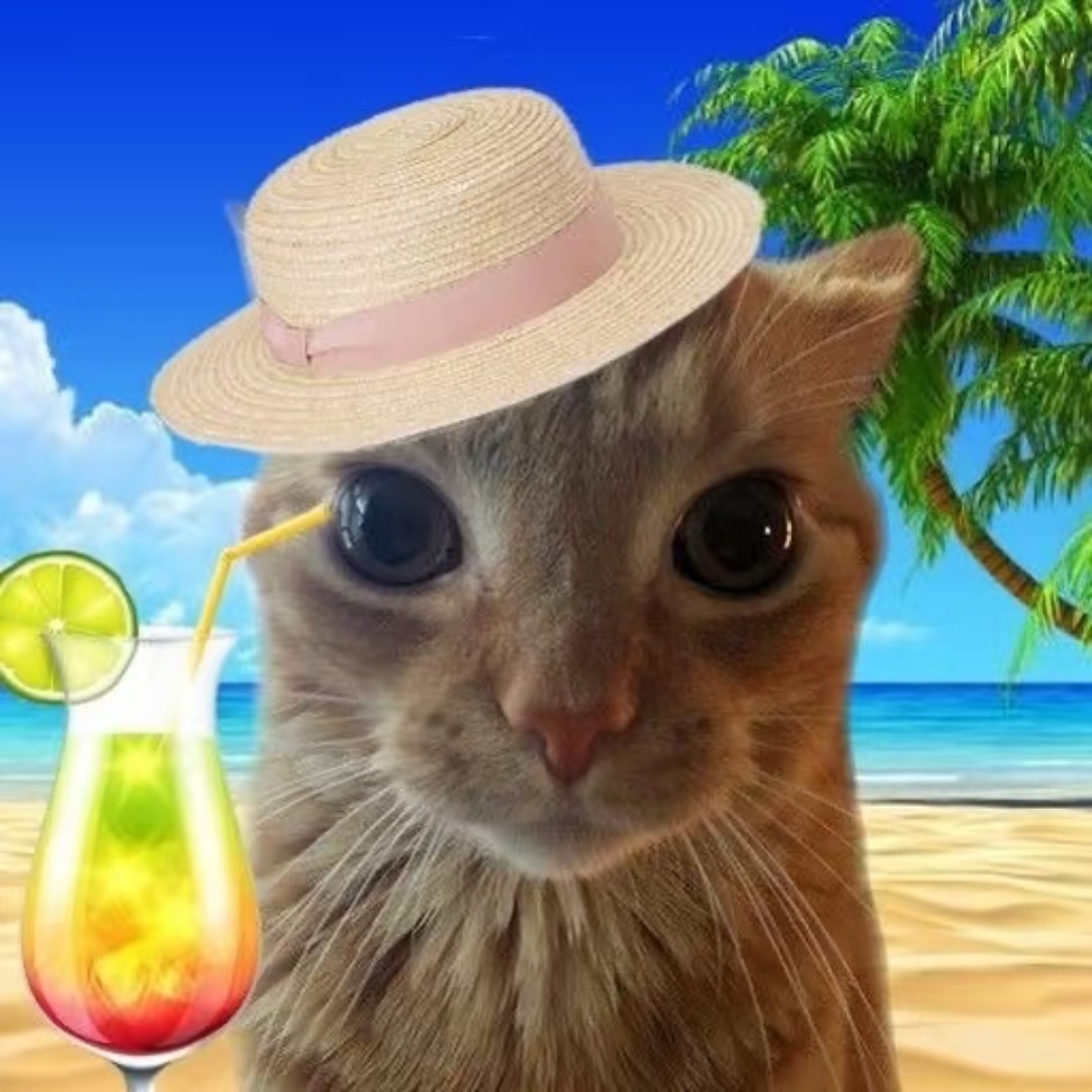 一组小猫度假头像🏖 