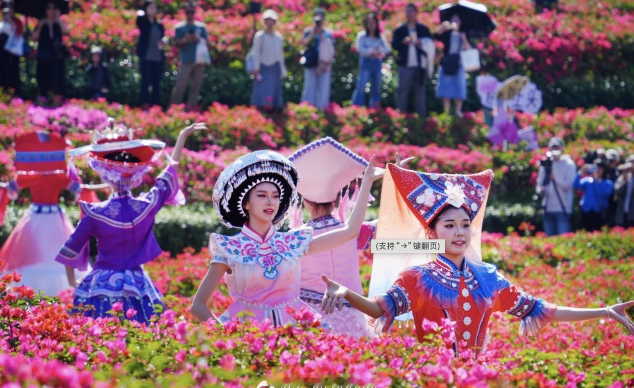 晚安，广西！生命的色彩不在于外界的评价，而在于内心的绽放。