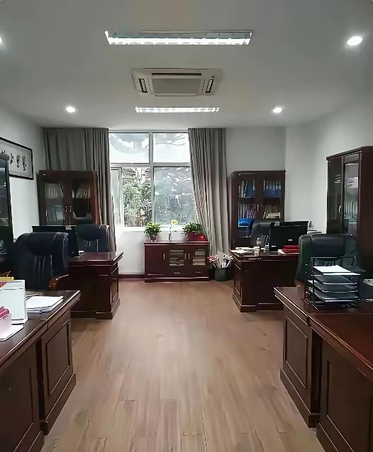 这样的办公室，在私人企业什么级别领导可以办公