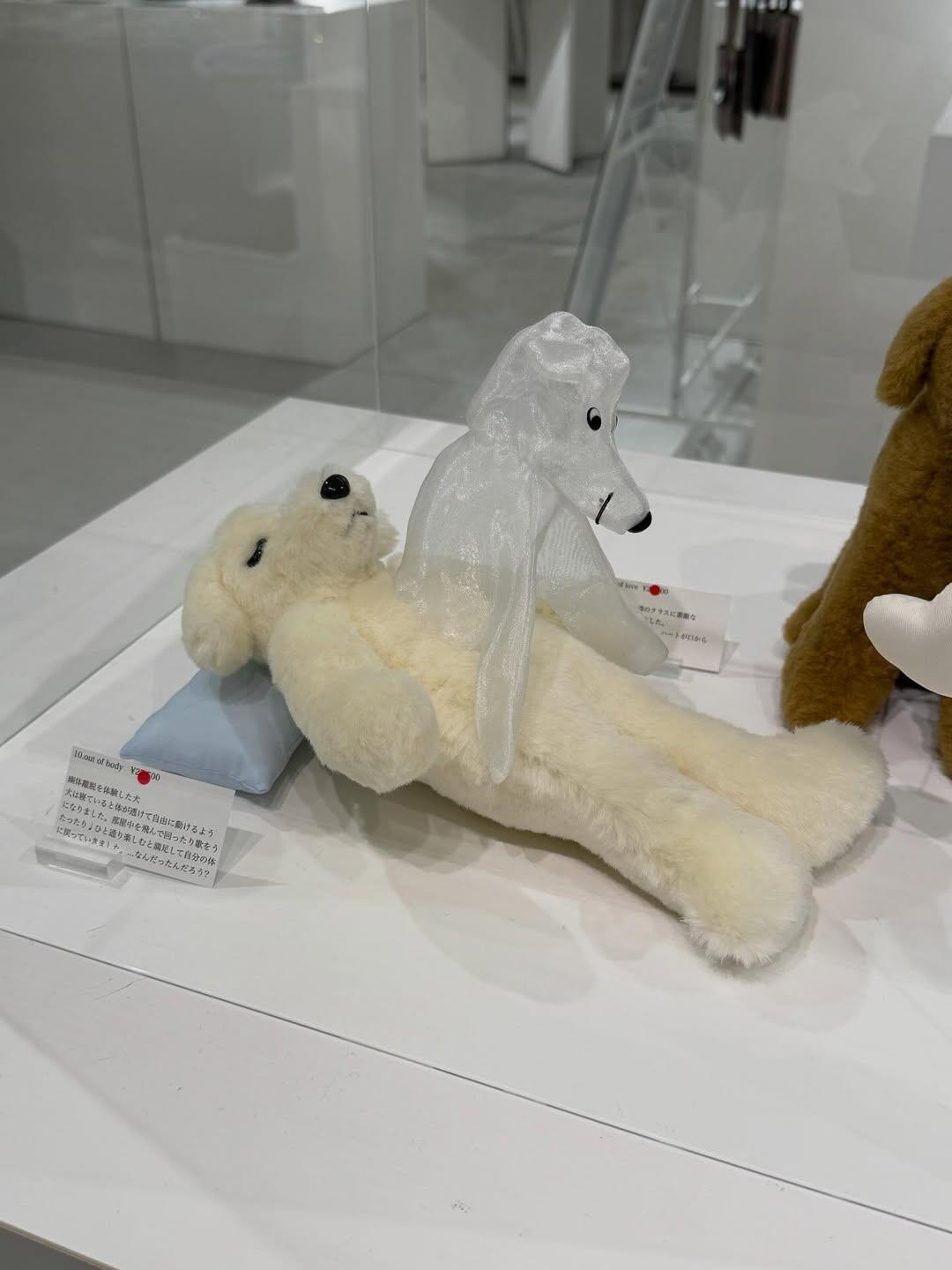 灵魂出窍的小狗 像极了周一的我 