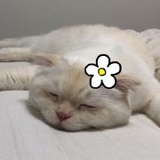 敏晓爱聊体育