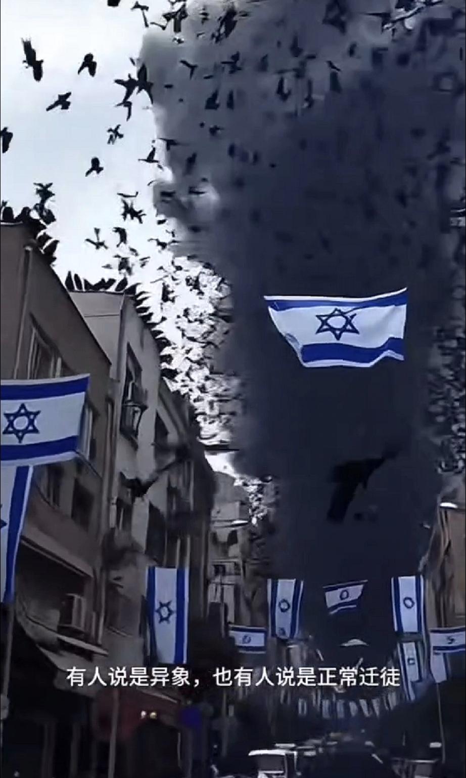 《雅群蔽日，美以乱象引慌恐》
你敢信吗？以色列的天空，又一次被黑色阴影彻底吞噬。