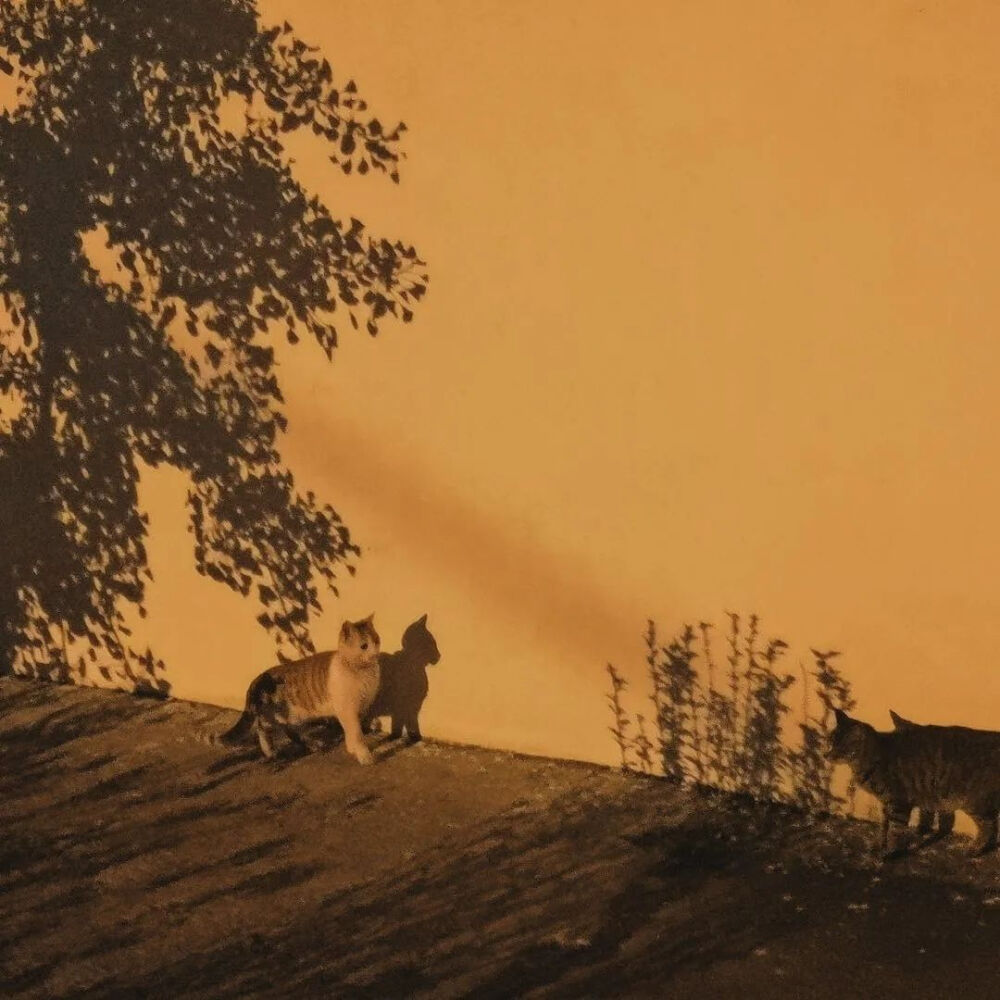 转变心态的重点在于，你要清楚，某样东西是否能让你的生活更圆满，是由你自己说了算，