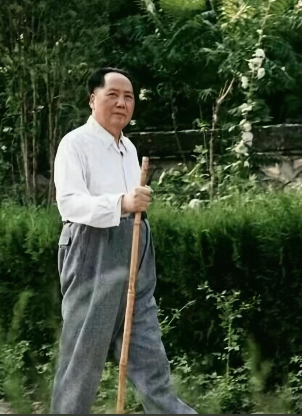 主席的这根竹杖是在杭州登山时工作人员为他砍的，他一直用，现保存故宫博物馆