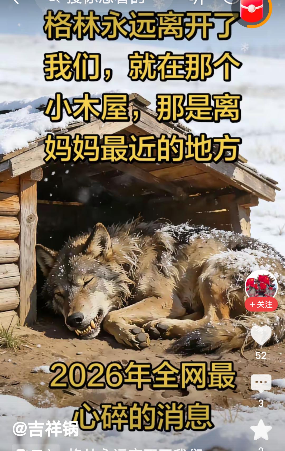 真没想到，2026年的第一刀居然是一匹狼，是格林！
       十年前第一次看