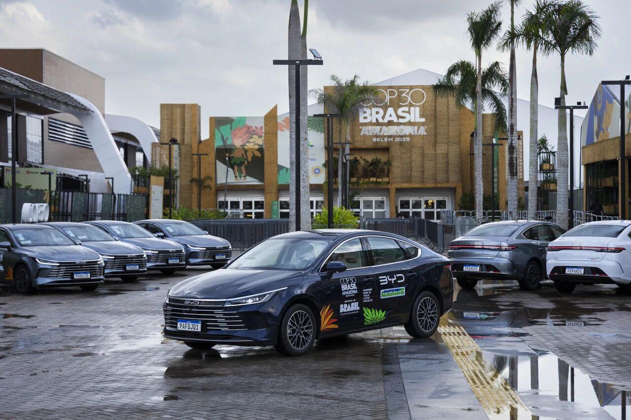 11月10日-21日，《联合国气候变化框架公约》第三十次缔约方大会（第30届联合