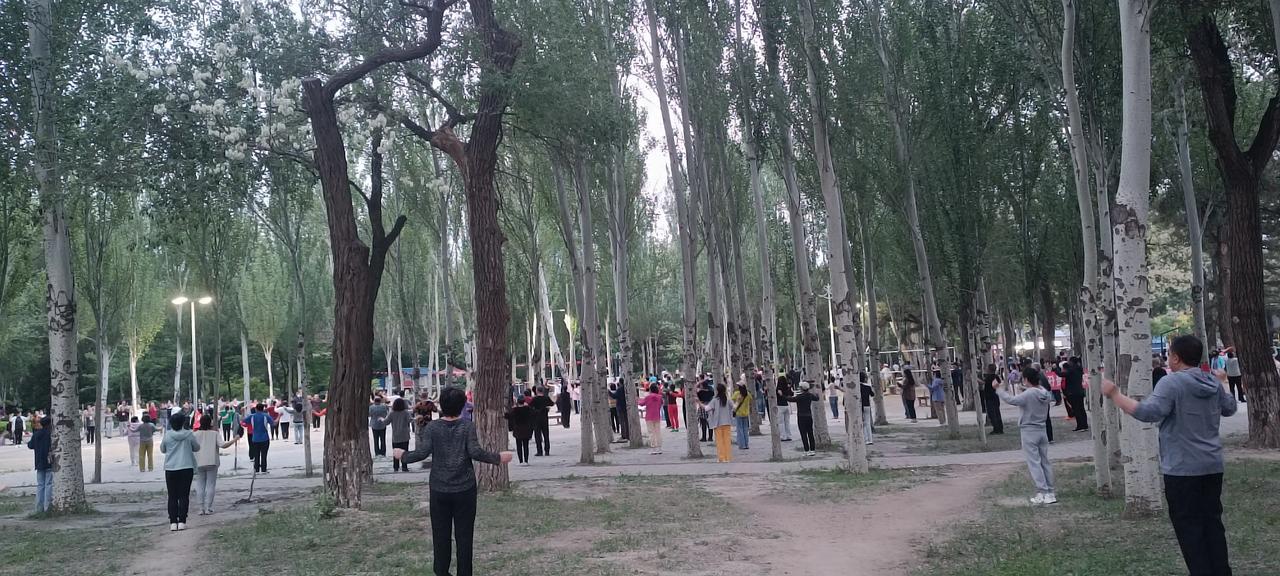 人民公园跳广场舞的队伍如此庞大！