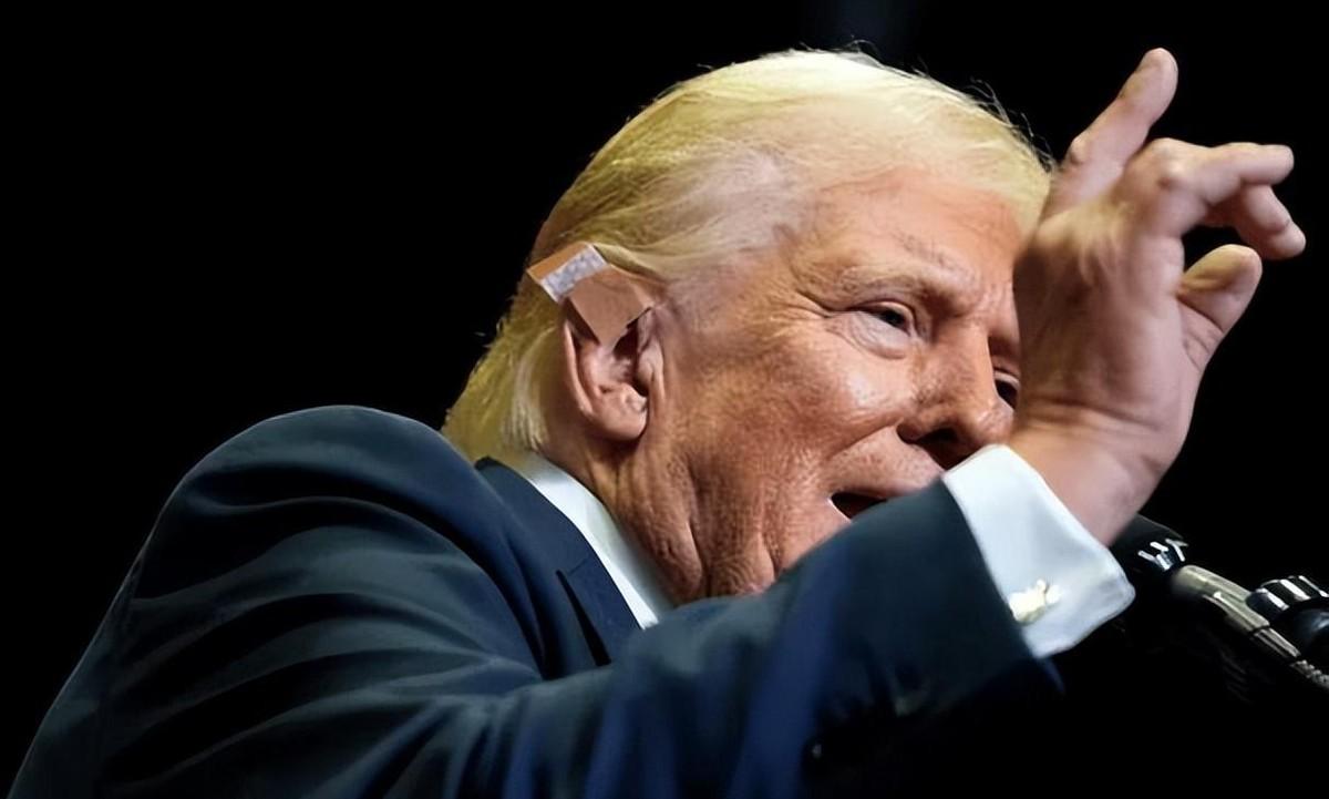 美国大选真是热闹非凡！哈里斯因丑闻支持率暴跌，特朗普却因商业大佬力挺风光无限。特
