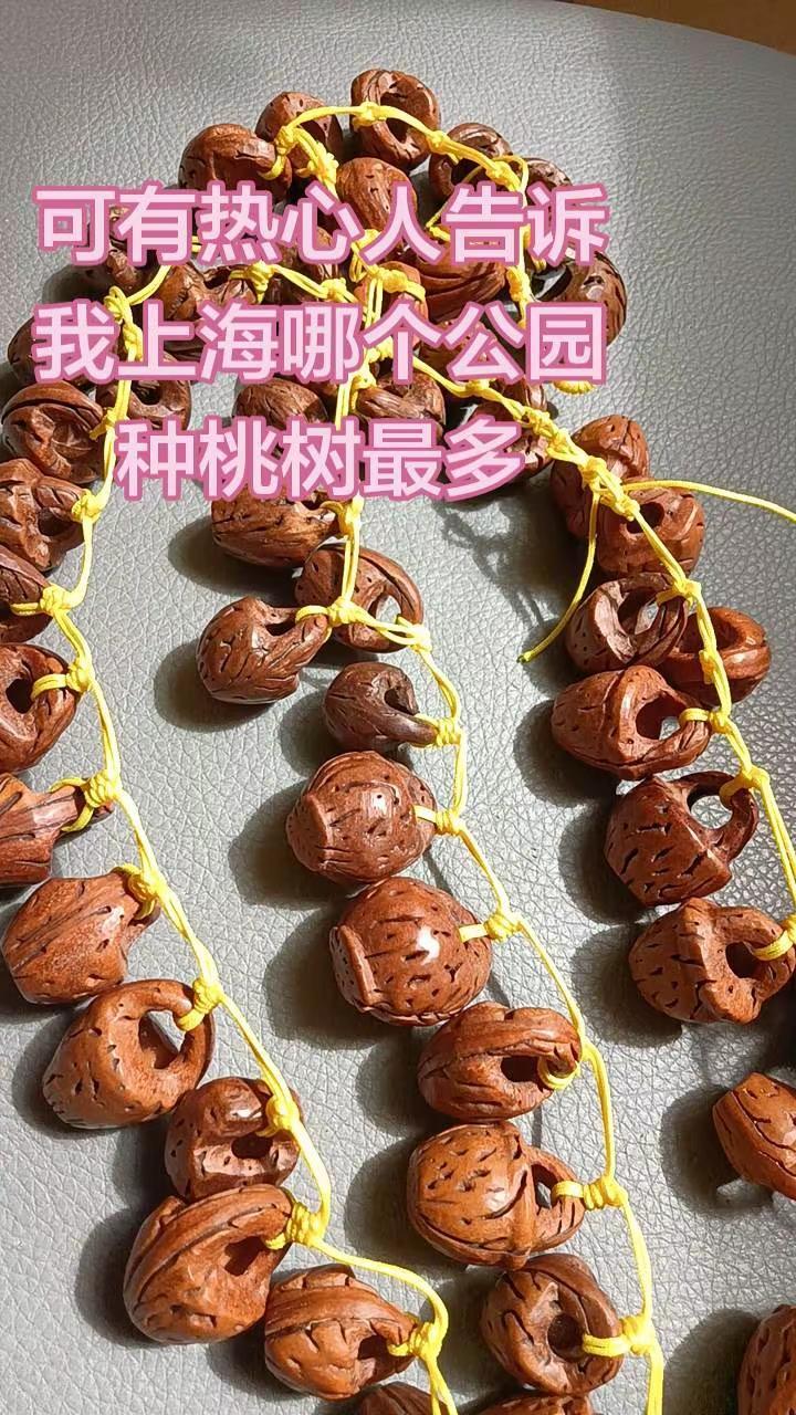 寻找桃核