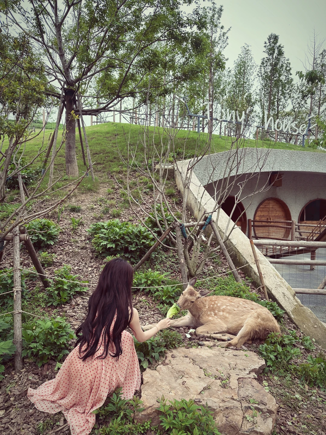 麓客岛登陆成功🐾