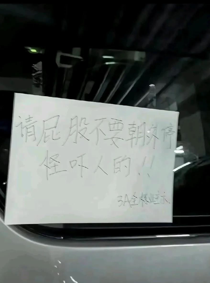 请屁股不要朝外停，怪吓人的。理想MEGA有那么吓人吗？它已经很不容易，怎么还有人