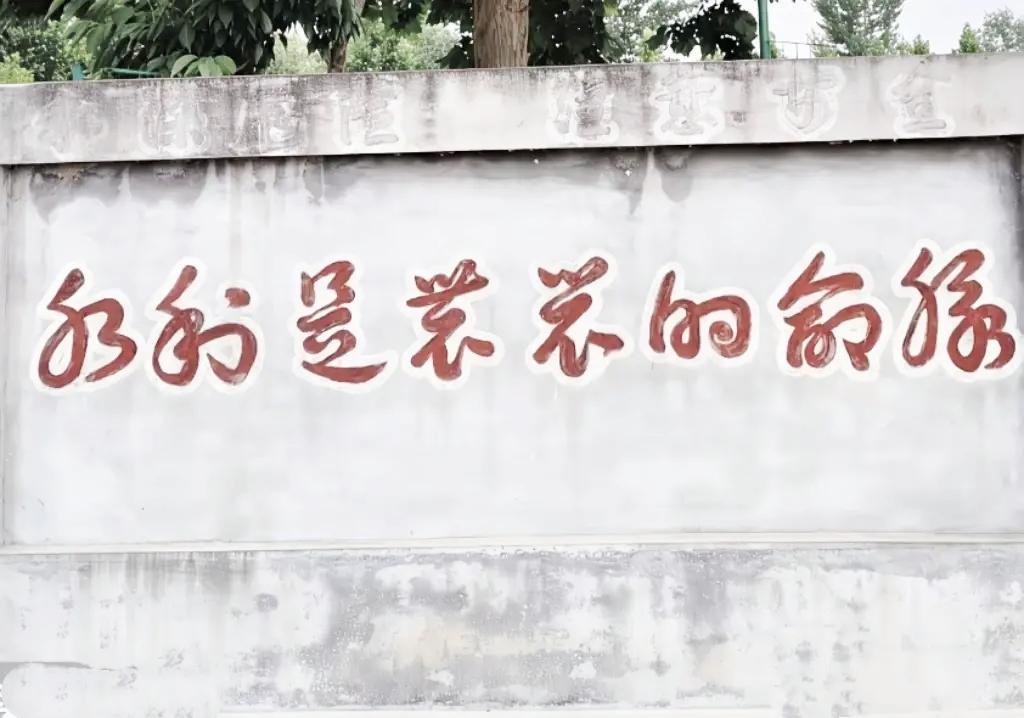 乡村墙头草书标语，笔法奔放潦草，不仔细拆解根本看不出完整原意

乡村趣味标语 随