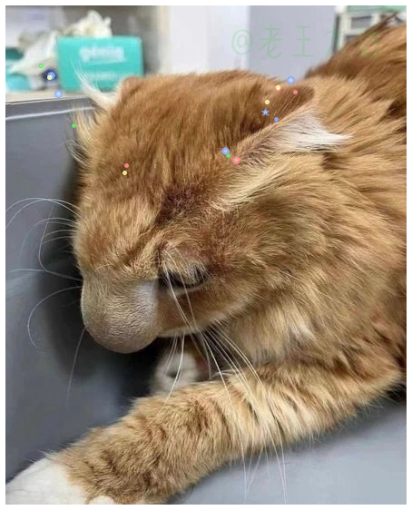 脸蛋肿成一团完美复刻格格巫既视感 
