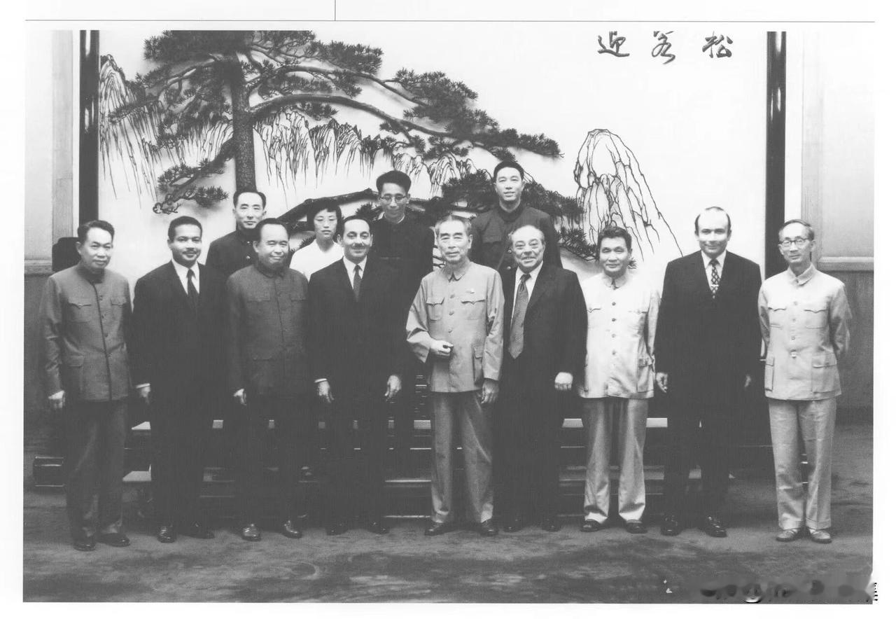 1973年8月9日，周恩来总理会见埃及中国友好协会会长易卜拉欣·塔哈威率领的埃中