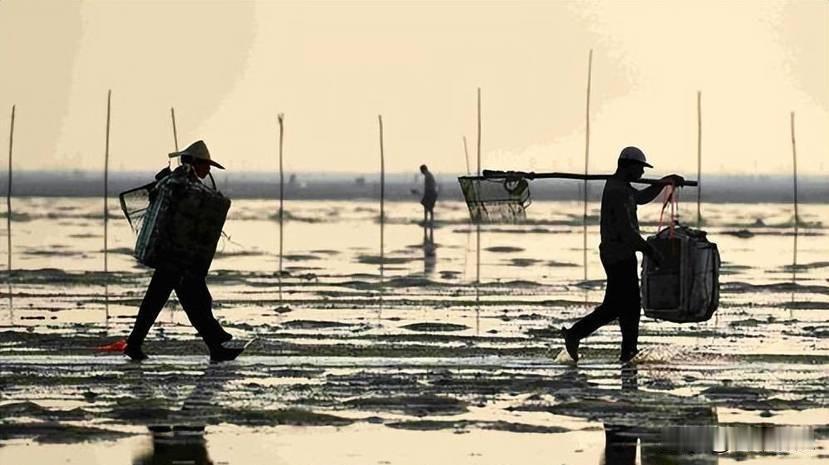 白龙尾岛归越南了，中国真放弃主权了吗？地图上那块小点到底算谁的。
昨天翻我爸的老