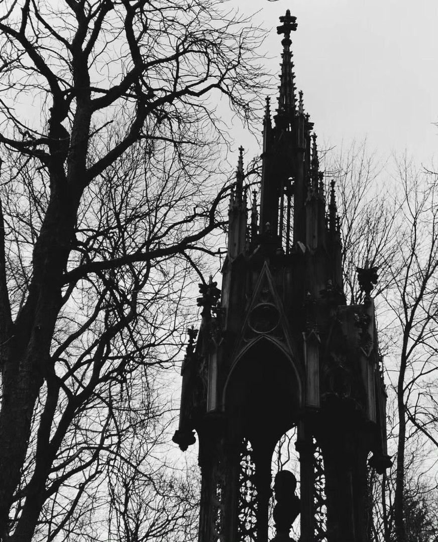 黑白色系背景图🎼🕸️🐈⬛ᨦᨩ 🖤 ໋·̩͙ 📷 ⭐︎.·✞ྀི🩺♡✟