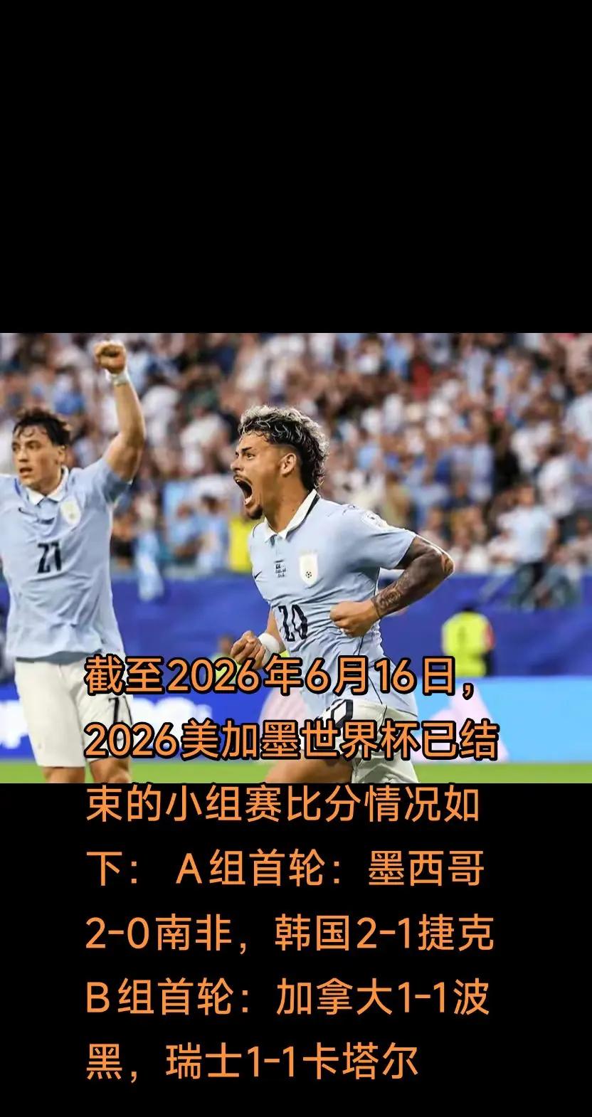 世界杯荣耀时 比利时队 世界杯最狂热的球迷