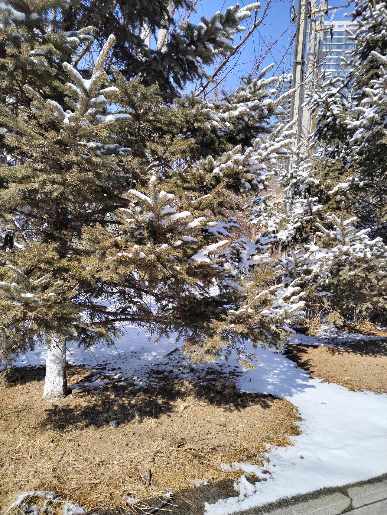 人，不要追求名望。
一旦得到名望，一定有祸，是一定有！
不管是名副其实，还是名不