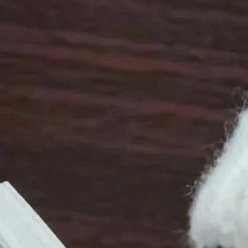 每日一善[超话] [给你小心心]每日一善 [给你小心心]阳光信用 11.6[太阳