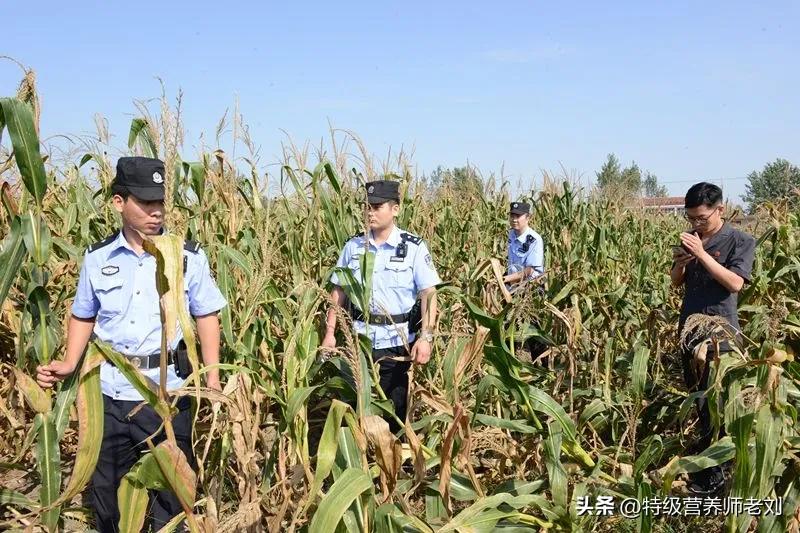 好几天了，你们一口一个“英雄大哥”地叫着，你们知道这样做的后果吗？如果这个人一直