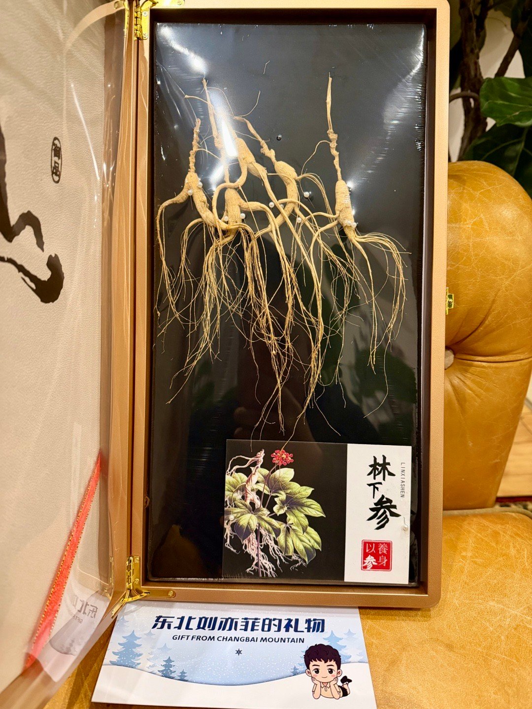 刘亦菲还给我送新年礼物了，这也太客气了。