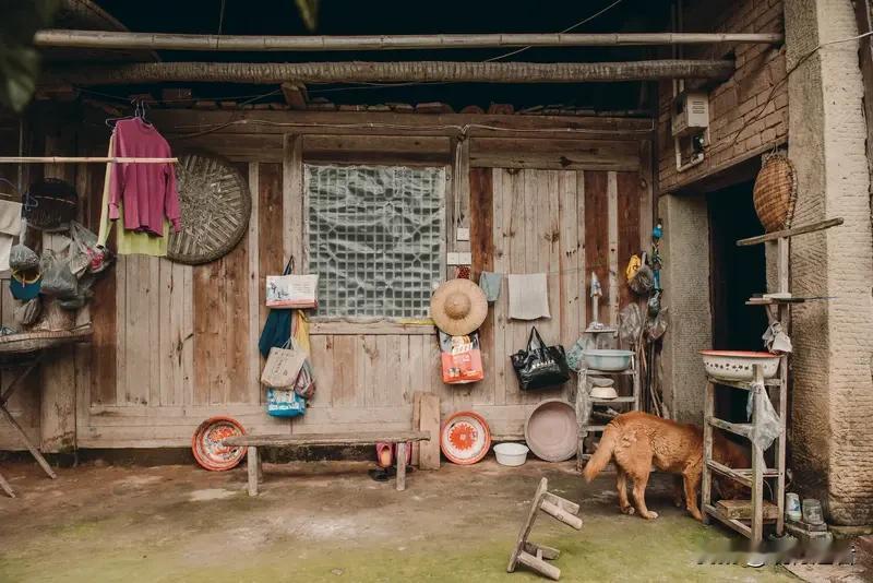 这位村支书的故事温暖了整个寒冬！在河北滦平的马营子村，村支书张淑云八年如一日地用