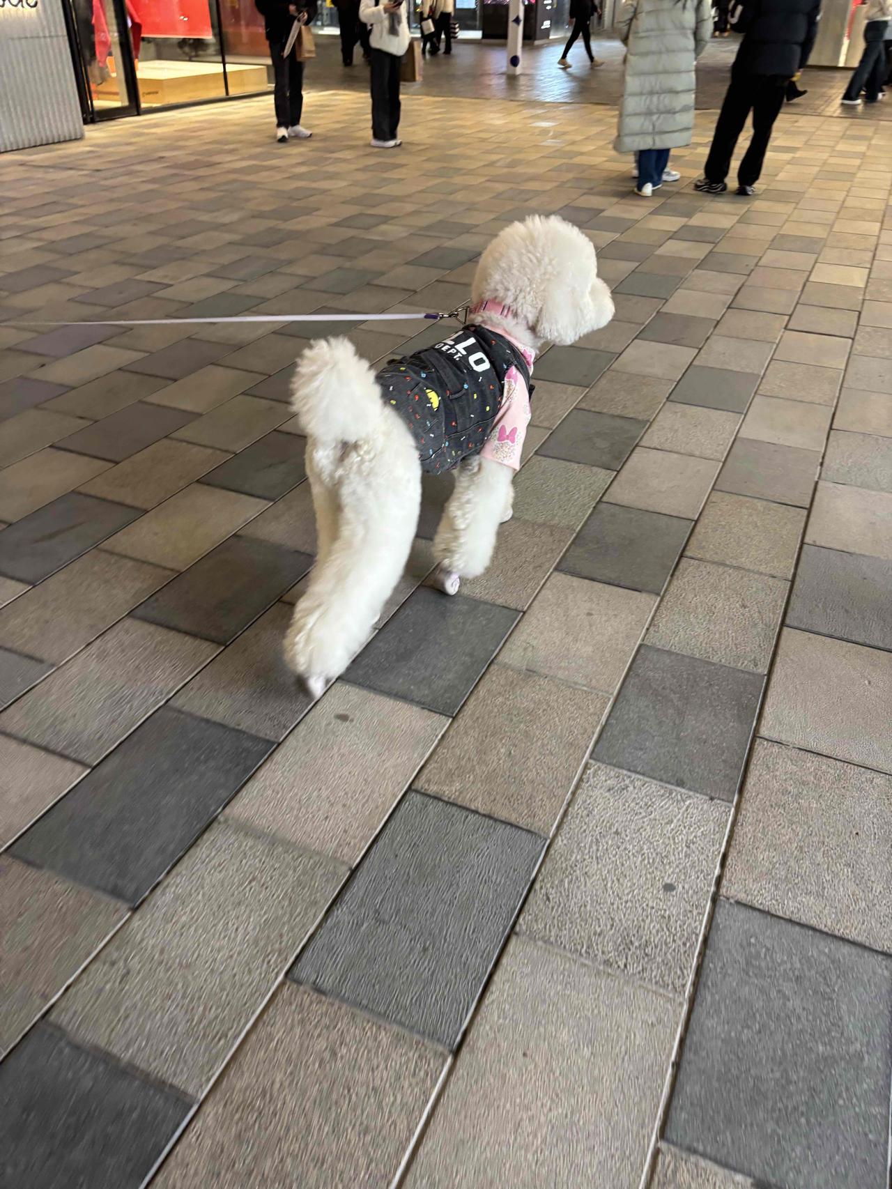 成年人有一种尴尬就是加人家微信时，人家当时又不好拒绝，同意加微信，但后来发微信给