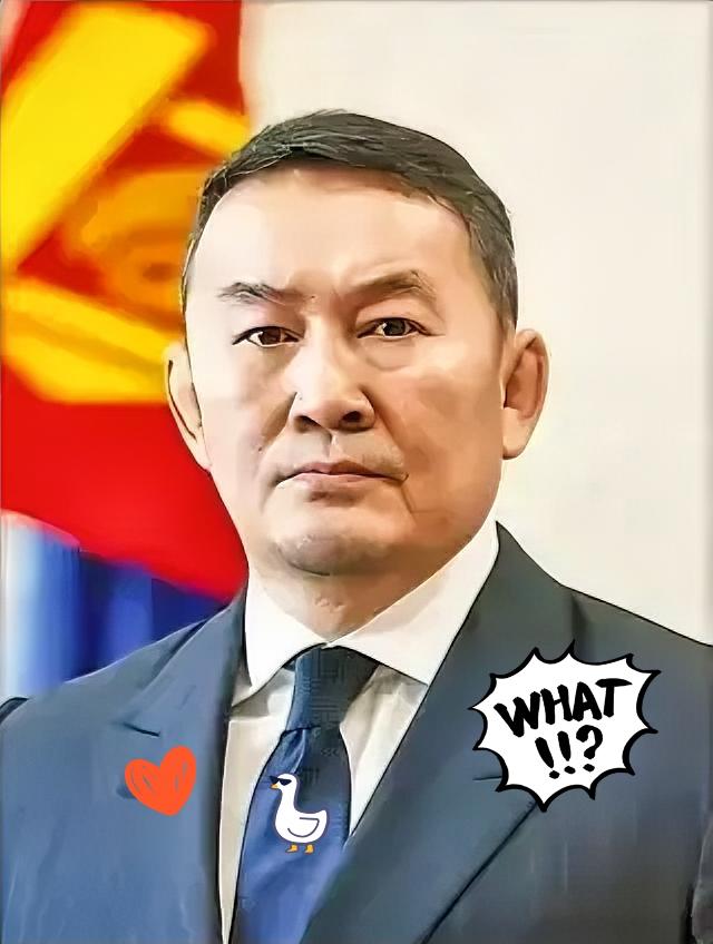 刚刚发生
蒙古国传来大好消息！

11月8日，中俄蒙三国在蒙古国达尔汗市签署《中