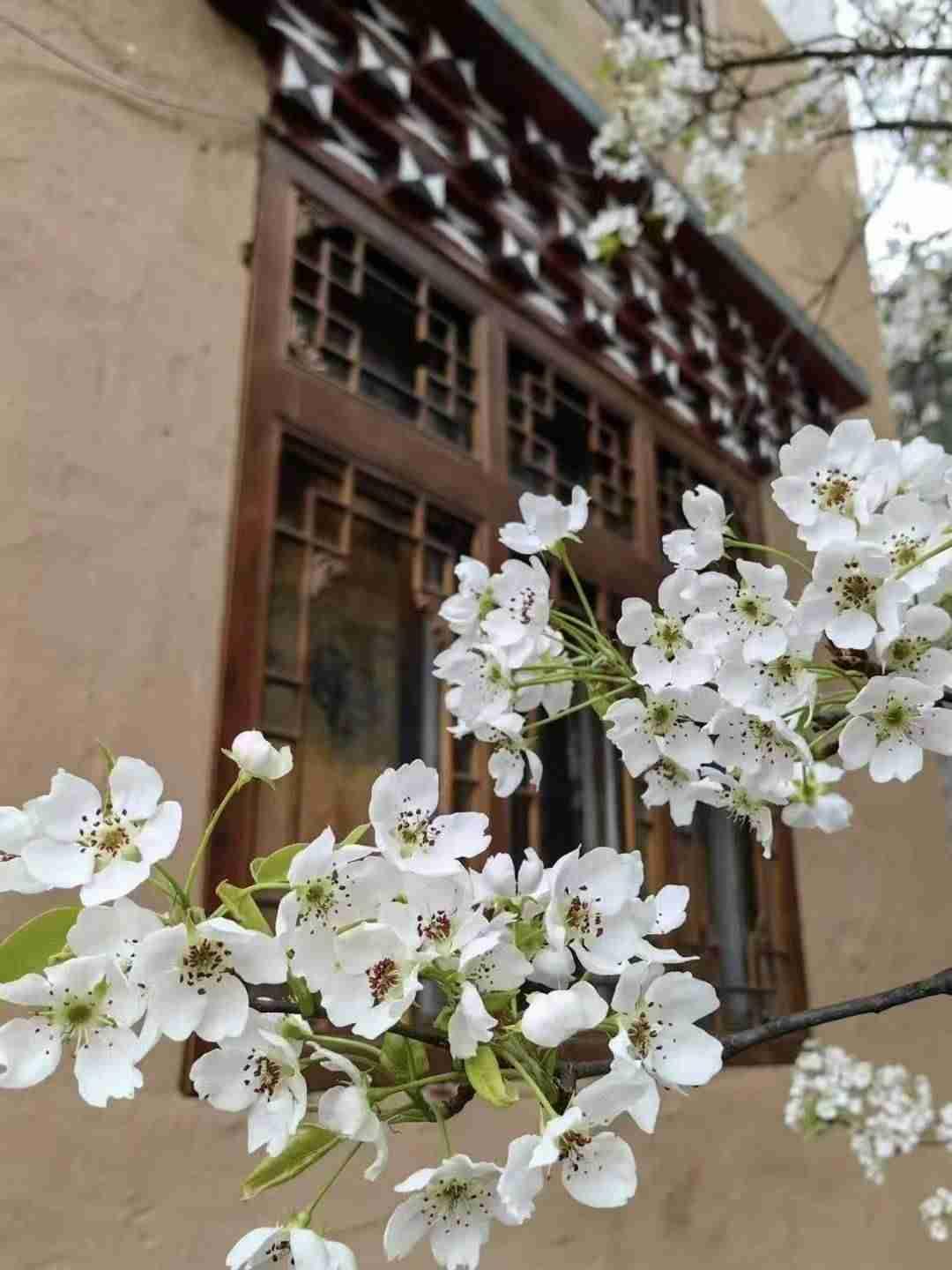 我的今日状态：😁轻松愉快
我这里的天气：🌤️多云