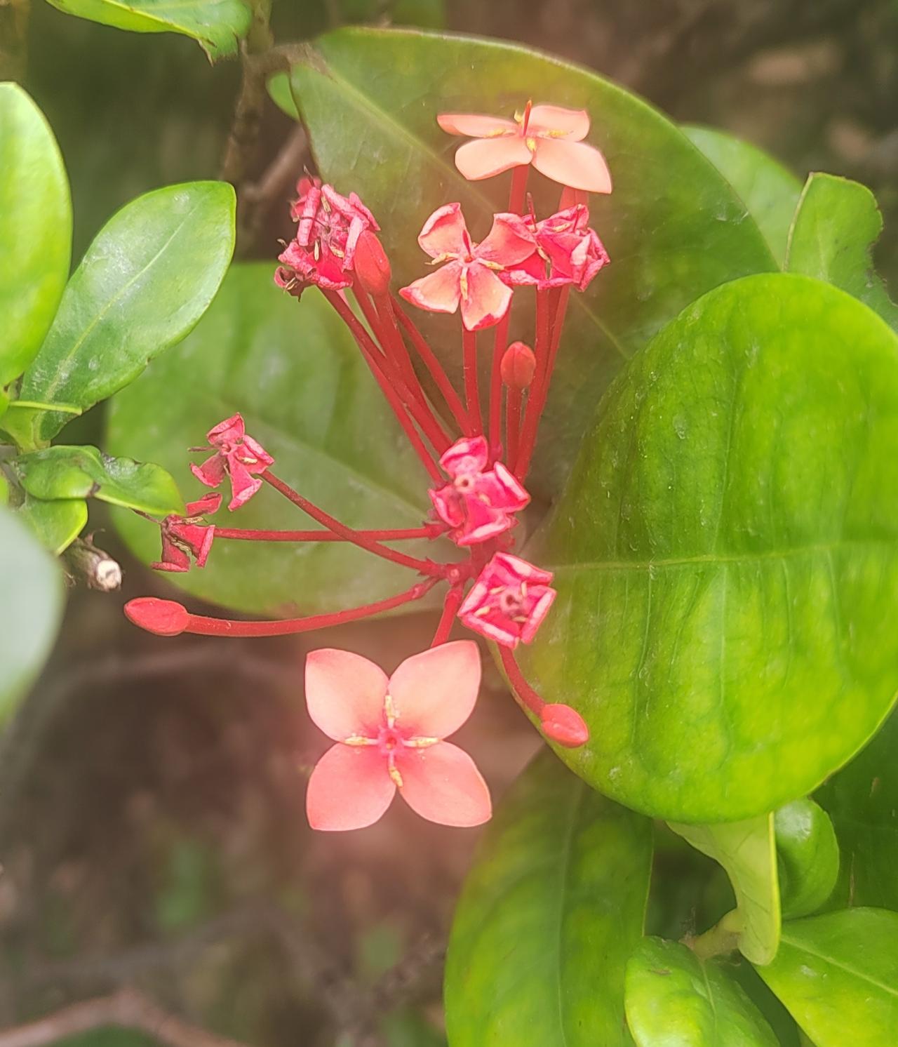 人这一生，最该学会的，是接受。
接受父母的平凡，接受自己的局限，接受命运的不可控