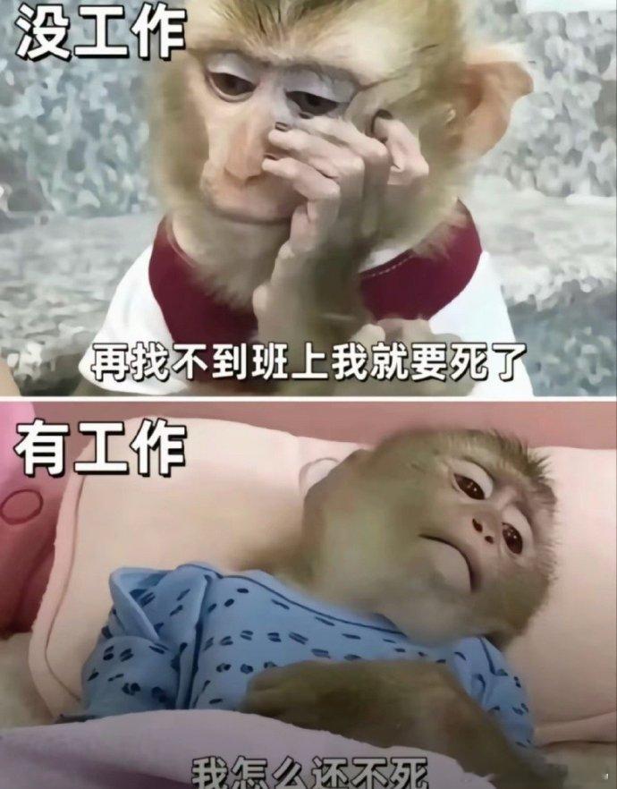 在职和不在职，各有烦恼所以我什么时候可以退休？搞笑[超话] ​​​
