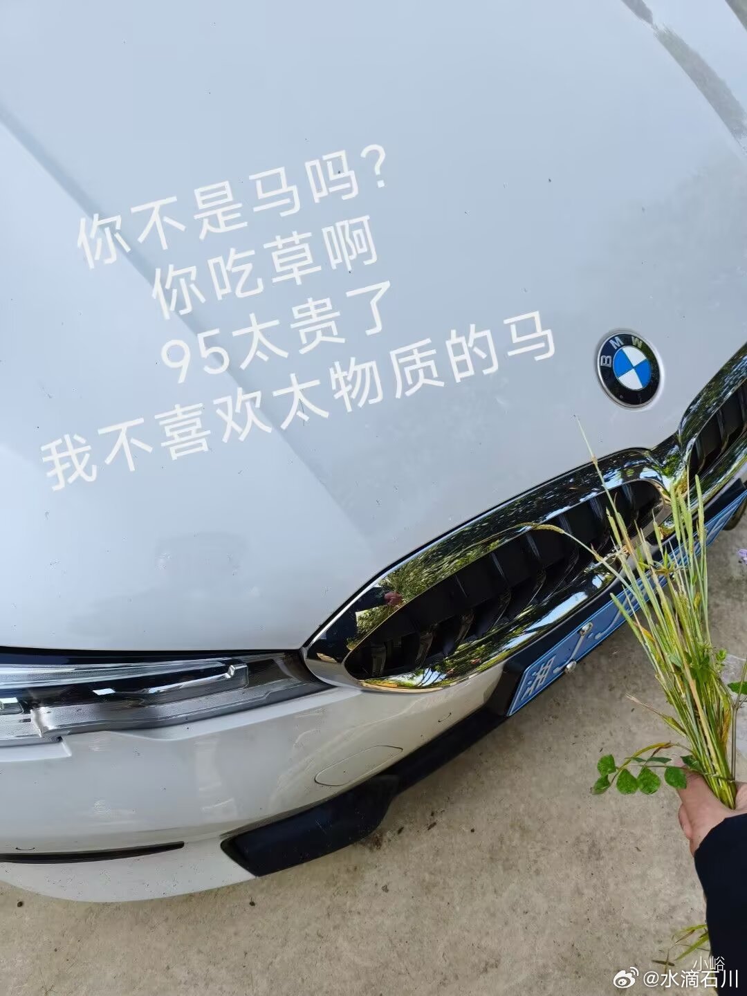 华东车讯  你怎么不吃啊？牛马不是都喜欢吃草吗？ 