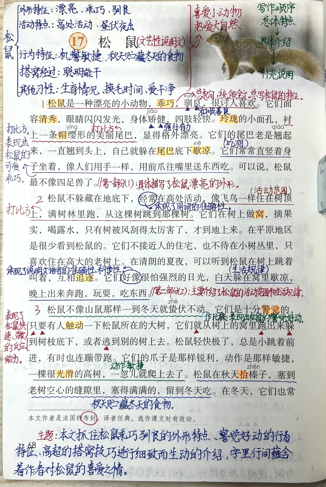 五上语文第17课《松鼠》课堂笔记➕课后练习题