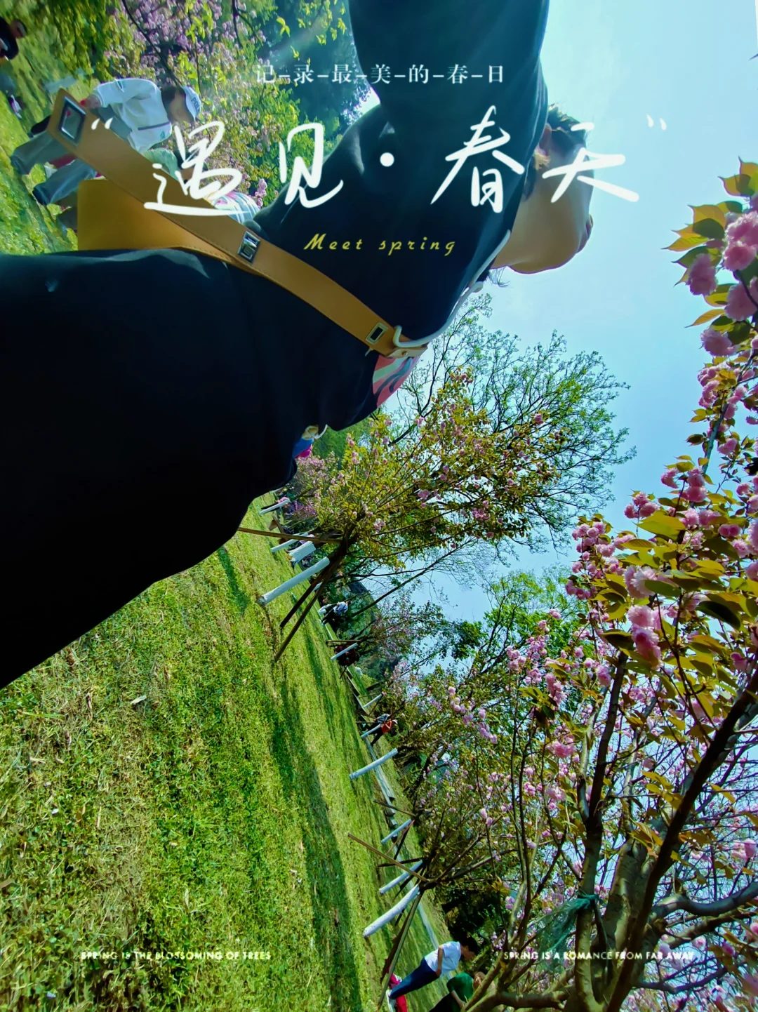 重新养自己一遍 隔离班味计划 在努力的养成早起运动的习惯！
