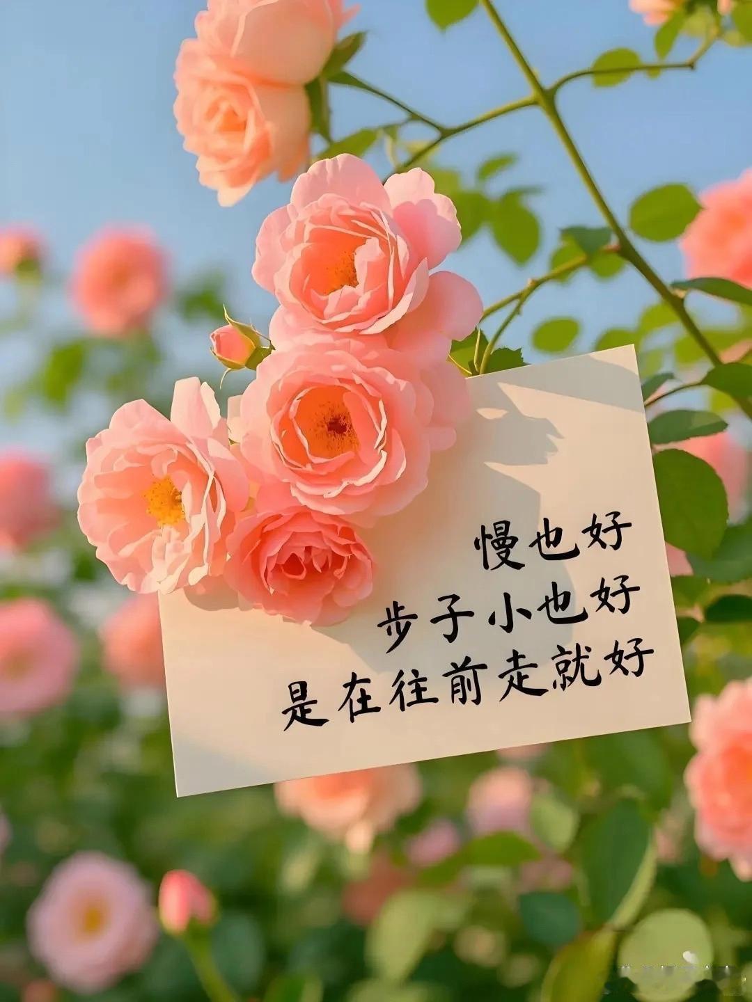 阳光信用 内心信念决定前路走向，你纠结怀疑什么，什么就困住脚步；你坚定相信什么，