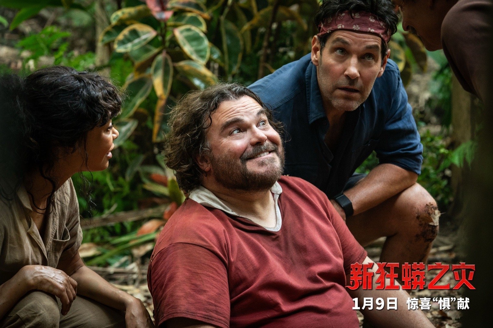 拍蛇片把蛇搞丢的后果 别的剧组丢道具，这个剧组丢主演！《新狂蟒之灾》用行动证明：